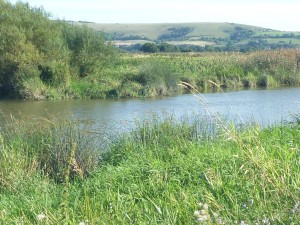 Downstream across the Arun to the South Downs.