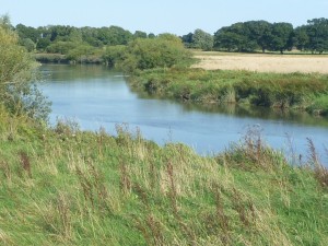 The Arun looking upstream, below Greatham Bridge